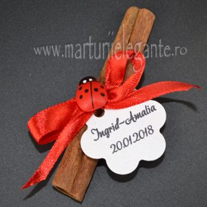 Marturii Botez Marturii Botez Ieftine Magazin Marturii Botez
