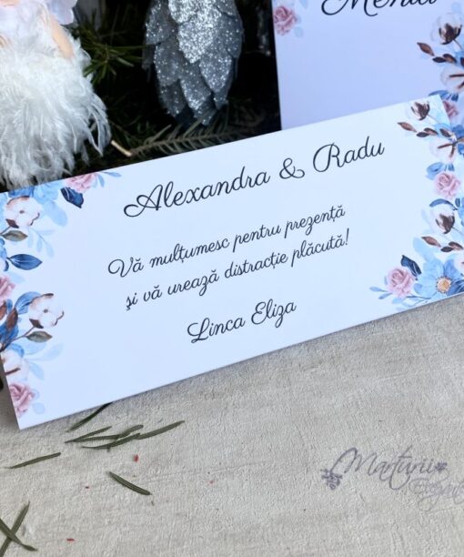Plic de Bani cu Flori de Bumbac si Flori Albastre Pastel