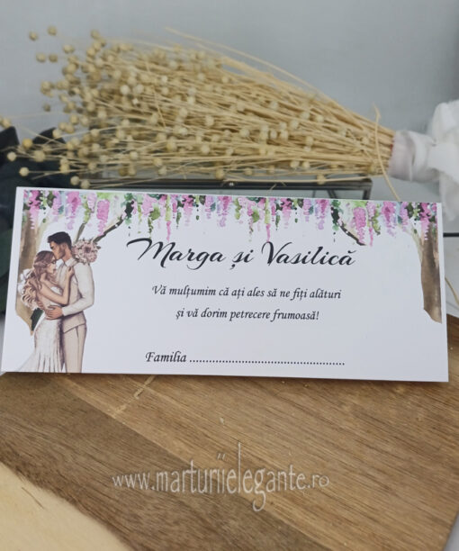 Plic de Bani Nunta Miri si Model Wisteria Watercolor